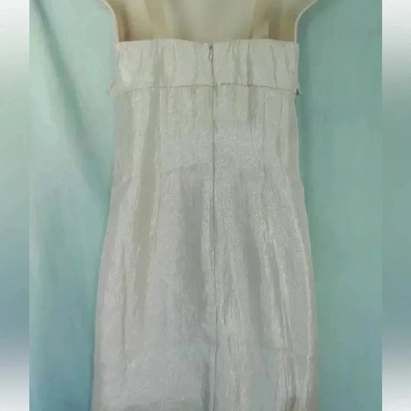 Boston Proper Rose Gold Shimmer Metallic Ruffle Sweetheart Neckline Dress Size 2 - Picture 5 of 7
